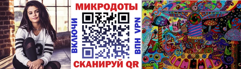 Галлюциногенные грибы Psilocybine cubensis Спас-Клепики